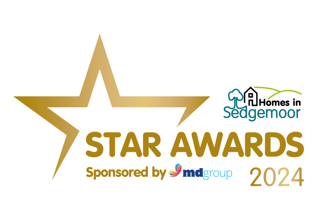 Maon Star Awards logo